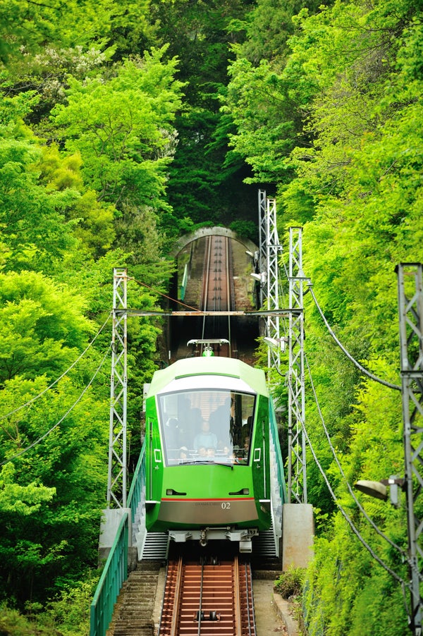 【静岡県内発】 圧巻!宮ケ瀬ダム放流見学と創建2,200年以上!大山阿夫利神社 「大山詣り」 大山名物の豆腐と地場産野菜使用!季節の懐石料理 3